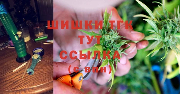 СК Арсеньев
