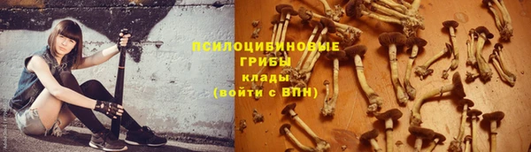 СК Арсеньев